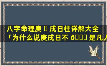 八字命理庚 ☘ 戌日柱详解大全「为什么说庚戌日不 🍁 是凡人八字日柱命运解析」